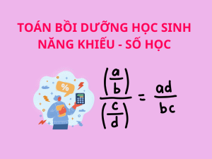 TOÁN BỒI DƯỠNG HỌC SINH NĂNG KHIẾU - SỐ HỌC