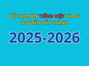 Đề thi đánh giá năng lưc môn Tiếng Việt vào 6 trường THCS Nguyễn Tất Thành