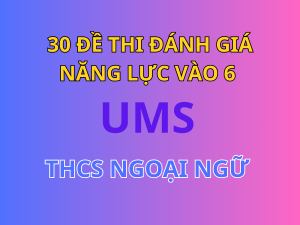 30 Đề Đánh Giá Năng Lực Ôn Thi Vào Lớp 6 UMS 2020