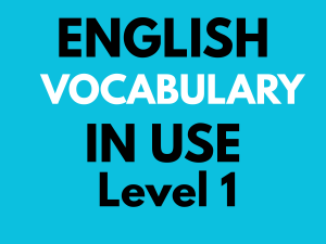 English Vocabulary in Use: Level 1 - A1 (Third Edition)