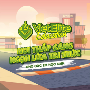VietElite Education