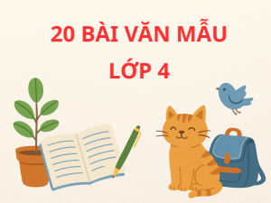 20 bài văn mẫu lớp 4 hay, chọn lọc theo 4 dạng đề